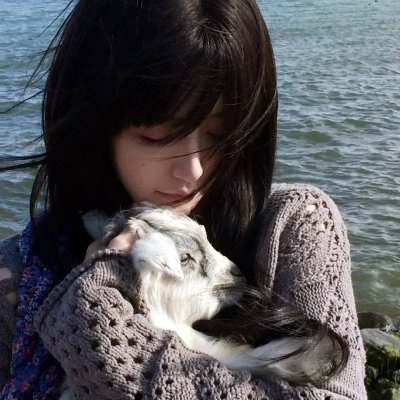 我的流浪狗